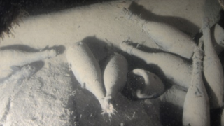 This Is What 170-Year-Old Champagne From a Shipwreck Tasted Like